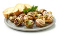 plate of baked escargot snails filled with parsley and garlic butter
