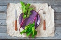 Plate with beetroots leaves