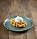 plate of belgian waffle with vanilla ice cream Royalty Free Stock Photo