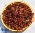 Plate with berries