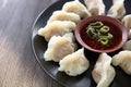 A plate of boiled dumplings and dip