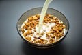 A plate bowl of cereal oatmeal and milk. Milk is pouring in a plate on a dark background. Healthy breakfast. Proper nutrition. Royalty Free Stock Photo