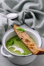 Plate of broccoli and green peas cream soup with bread toast Royalty Free Stock Photo