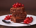 Plate of brownies and currant