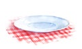 Plate on checkered tablecloth