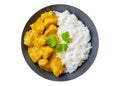 plate of chicken with curry sauce and rice isolated on white background Royalty Free Stock Photo