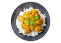 plate of chicken with curry sauce and rice isolated on white background Royalty Free Stock Photo
