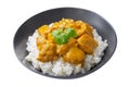 plate of chicken with curry sauce and rice on white background Royalty Free Stock Photo