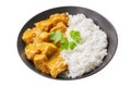 plate of chicken with curry sauce and rice on white background Royalty Free Stock Photo