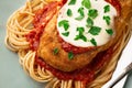 Plate CHICKEN PARMIGIANA with linguini pasta Like an Italian Royalty Free Stock Photo