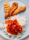 Children\'s menu of breaded chicken strips and rice with tomato sauce Royalty Free Stock Photo