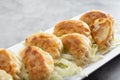 plate of Chinese dumplings, potstickers Royalty Free Stock Photo
