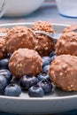 A plate of chocolate nut clusters with blueberries Royalty Free Stock Photo