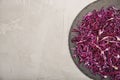 Plate with chopped red cabbage on light background Royalty Free Stock Photo