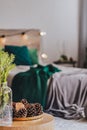 Plate of cones and flowers in glass vase on coffee table in elegant bedroom interior with bed with emerald green bedding Royalty Free Stock Photo