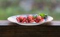 A plate of cooked crawfishes