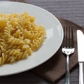 A plate with cooked pasta fusilli Royalty Free Stock Photo