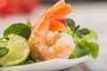 Prawn salad. Healthy Shrimp Salad with mixed Royalty Free Stock Photo