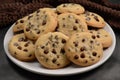 a plate of cookies, topped with miniature chocolate chips