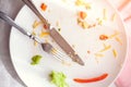 Plate with crumbs food and used fork Royalty Free Stock Photo