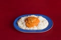 A plate decorated with blue lines and reflections with white basmati rice with homemade tomato sauce.