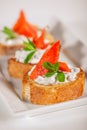 Plate of decorative salmon fish on bruschetta appetizer Royalty Free Stock Photo