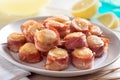 A plate of delicious bacon wrapped scallops Royalty Free Stock Photo