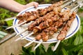 Plate of delicious barbecued kebabs Royalty Free Stock Photo