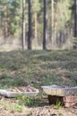 A plate of delicious barbecued kebabs on skewers for a summer pi Royalty Free Stock Photo