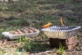 A plate of delicious barbecued kebabs on skewers for a summer pi Royalty Free Stock Photo