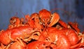 A plate of delicious boiled crawfish