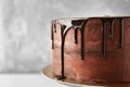 Plate with delicious chocolate cake on table against light background, closeup Royalty Free Stock Photo