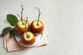 Plate with delicious green caramel apples Royalty Free Stock Photo