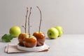 Plate with delicious green caramel apples Royalty Free Stock Photo