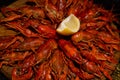 Plate with delicious red boiled crayfish on wooden table, top view. Crayfish boil with lemon. Snack for beer, seafood Royalty Free Stock Photo