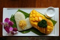 A plate of delicious sticky rice with mango served at Chiang Rai. A traditional thai dessert.