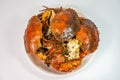 Plate of delicious stir-fried crab with salt and black pepper