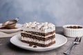 Plate of delicious tiramisu cake Royalty Free Stock Photo