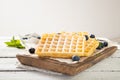 Plate with delicious traditional Belgian waffles with fresh blueberries. Place for text