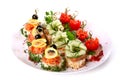 Plate of different canapes Royalty Free Stock Photo