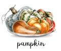 Plate with different varieties of pumpkins. D