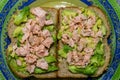 Plate with a double sandwich containing raw avocado and fried salmon only