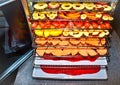 A plate dryer, a drying kiln filled with several different fruits and vegetables, ready to start