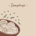 Plate of dumplings background. Cartoon hand drawn Ravioli with spices. Vareniki. Pelmeni. Meat dumplings. Food. Cooking