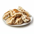 Delicious Dumplings: Authentic Beijing East Village Style On A White Plate