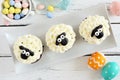 Plate of Easter sheep cupcakes, top view table scene over white wood Royalty Free Stock Photo