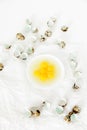 Plate with egg yolks and protein, egg husks and quail eggs on crumpled paper on white background. Royalty Free Stock Photo