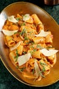 Plate filled with delicious Rigatoni pasta with salmon and cheese slices