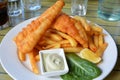 Plate of fish and chips Royalty Free Stock Photo
