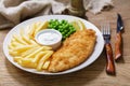 plate of fish and chips with french fries Royalty Free Stock Photo
